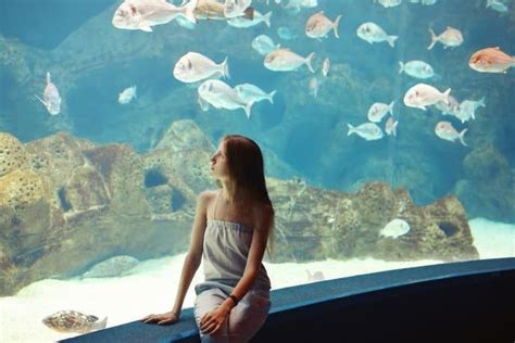 初 デート 水族館 別れる|水族館デートで恋が発展する理由5つ｜おすすめのデートプラン .